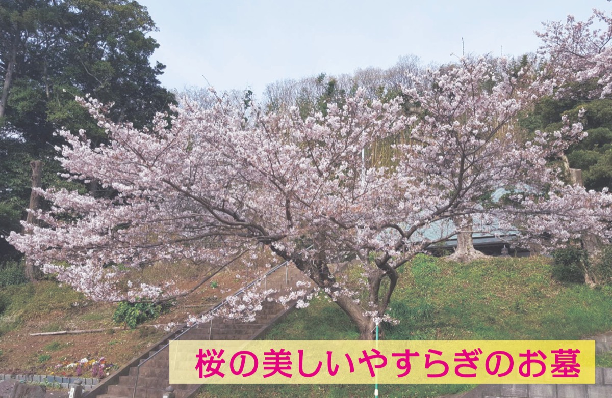 自然葬墓 延命陵32万円より (写真2)