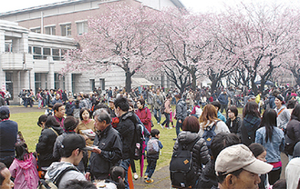 例年、多くの来場者で賑わう