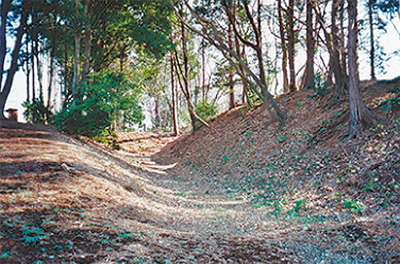 あやせの歴史を訪ねて