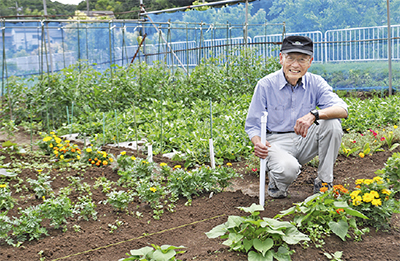 花と野菜が畑で"共演"