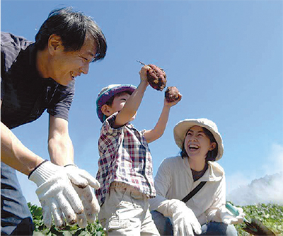 青空の下「お芋掘り」