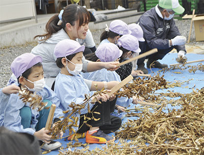 美味しい味噌を作りましょう♪