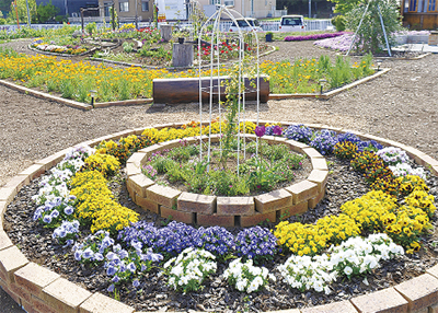 陽だまり公園花ざかり ６月まで見ごろ 綾瀬 タウンニュース