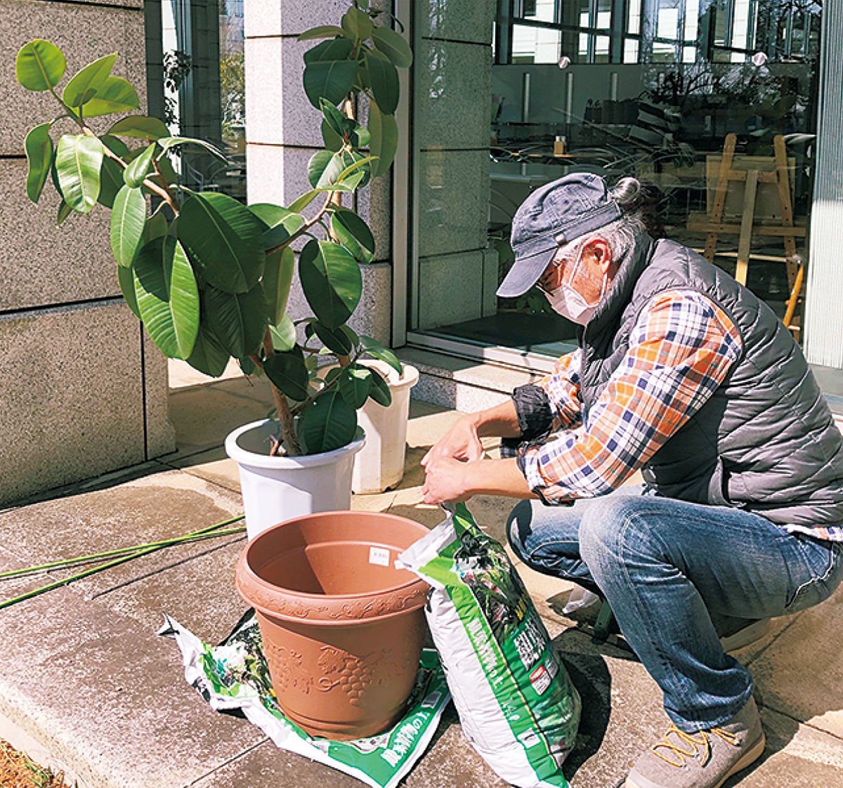 連載 造園家が教えるガーデニングの豆知識 第１回 植え替え 綾瀬 タウンニュース