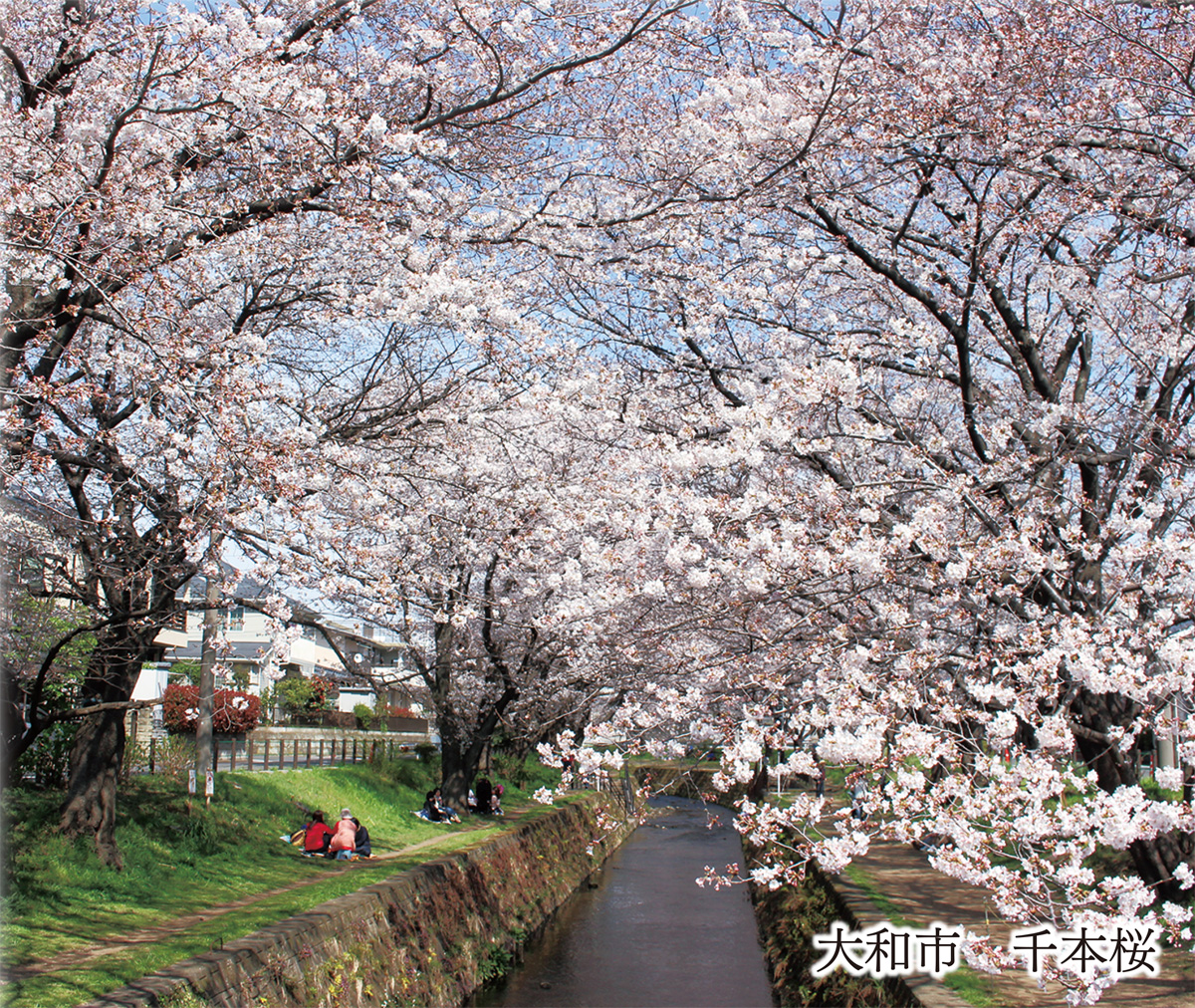 春のおでかけガイド