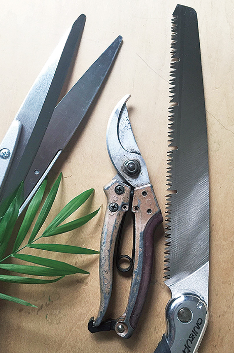 造園家が教えるガーデニングの豆知識