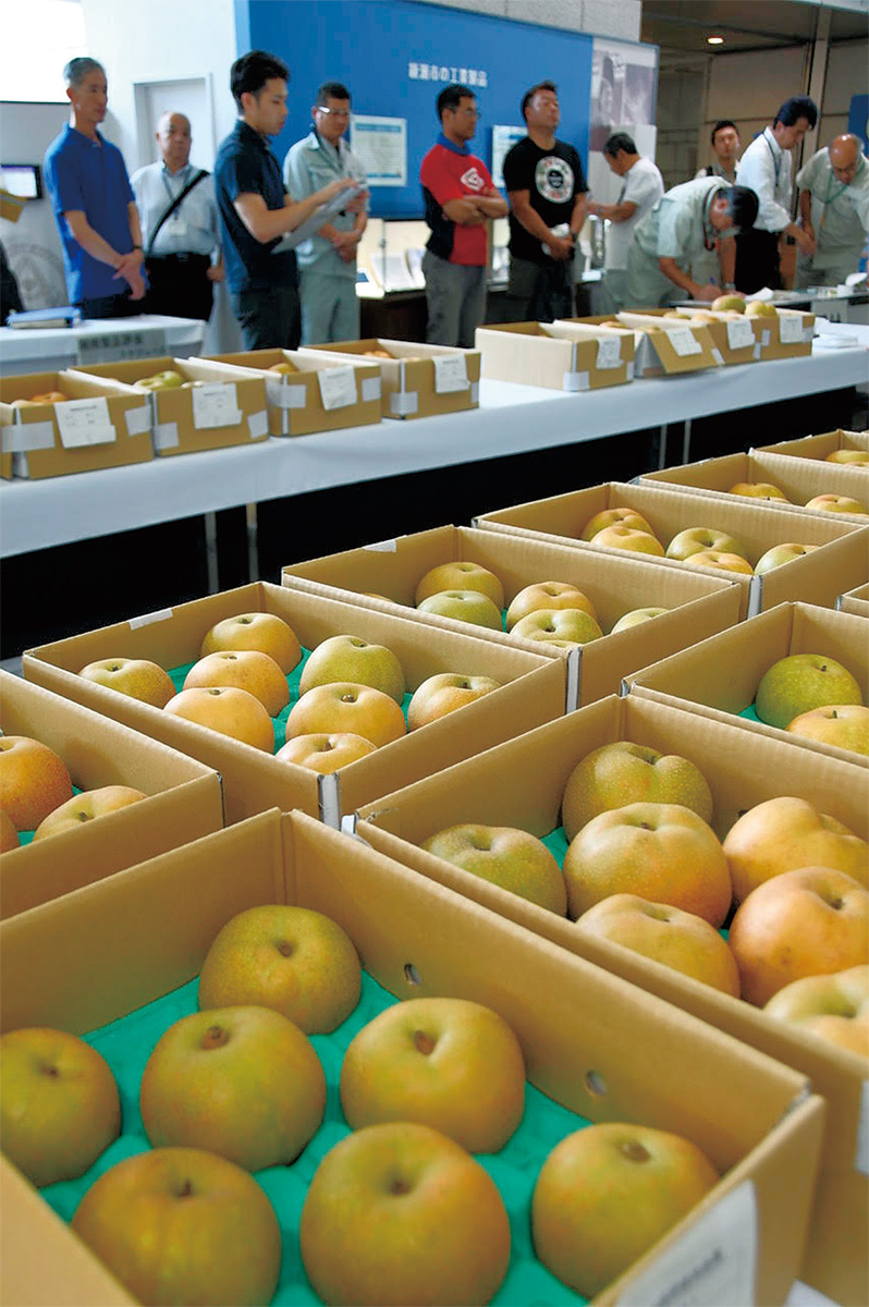 60回目の品評会