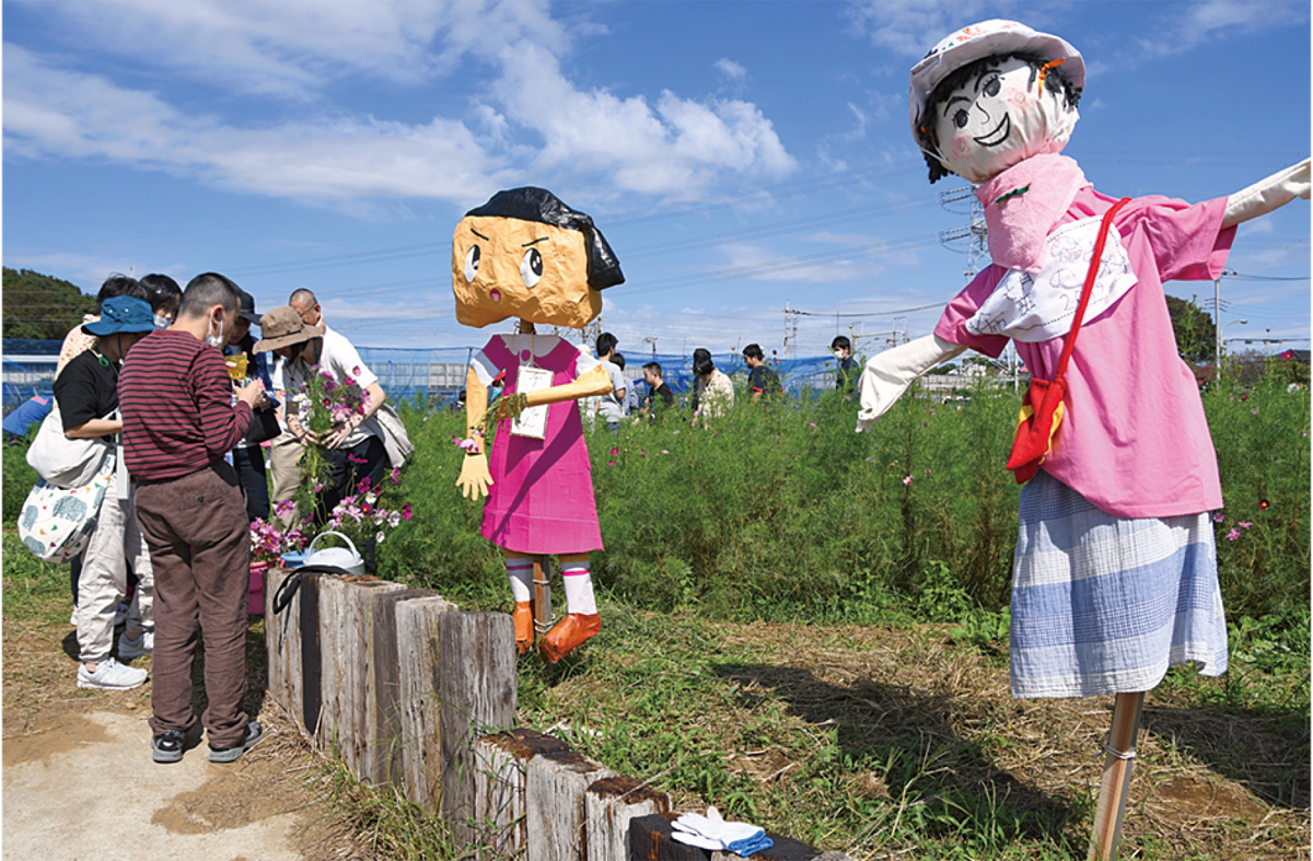 コスモス畑で交流