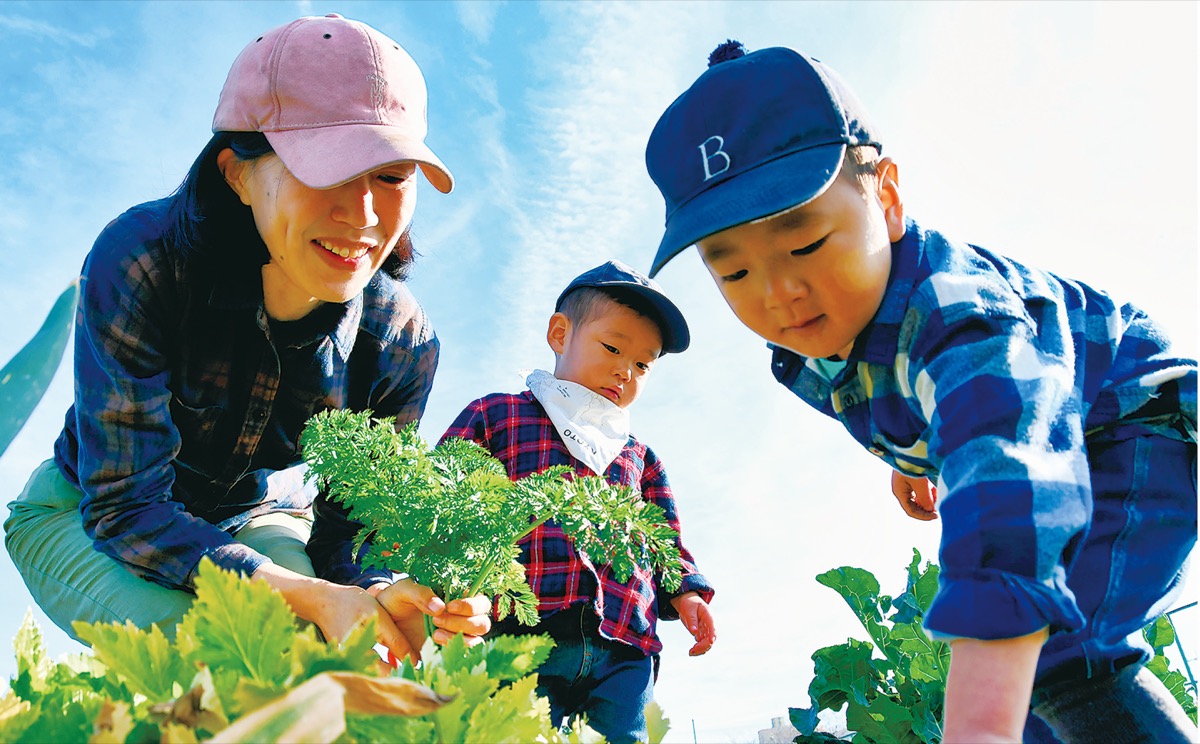 農園で野菜づくり