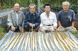 自然薯育成会メンバーと今作の収穫