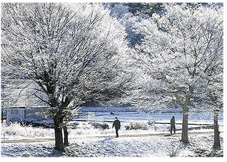 展示作品の一例「雪の日」撮影：藤本弘氏写真提供・愛川町郷土資料館
