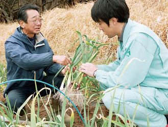 葉ニンニクの生育状況を確認する生産者の三橋澄夫さん（左）と、営農指導員の清水太一さん