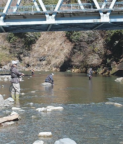 相模川水系 美しき渓流魚求めて ヤマメ イワナ釣り解禁 愛川 清川 タウンニュース