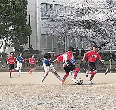 少年たちが２日間の熱戦