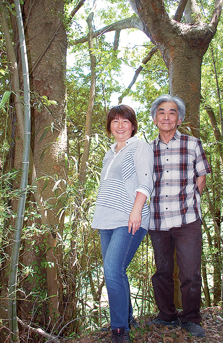 清川に「大人の憩い場」構想