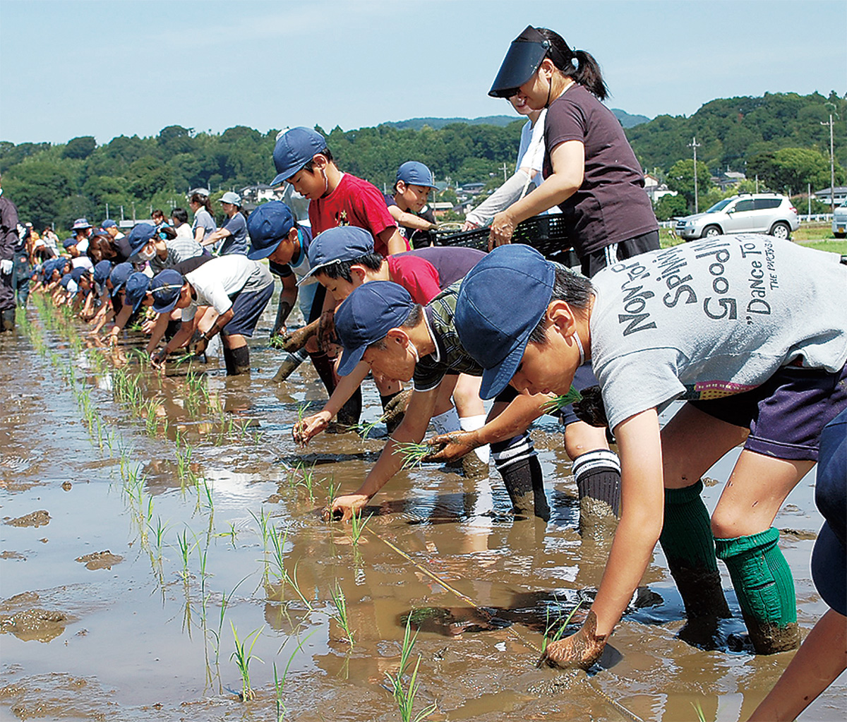 一本一本心を込めて