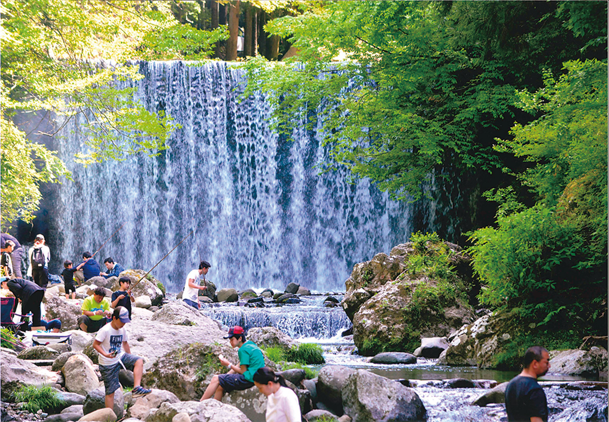 入選作品が決定