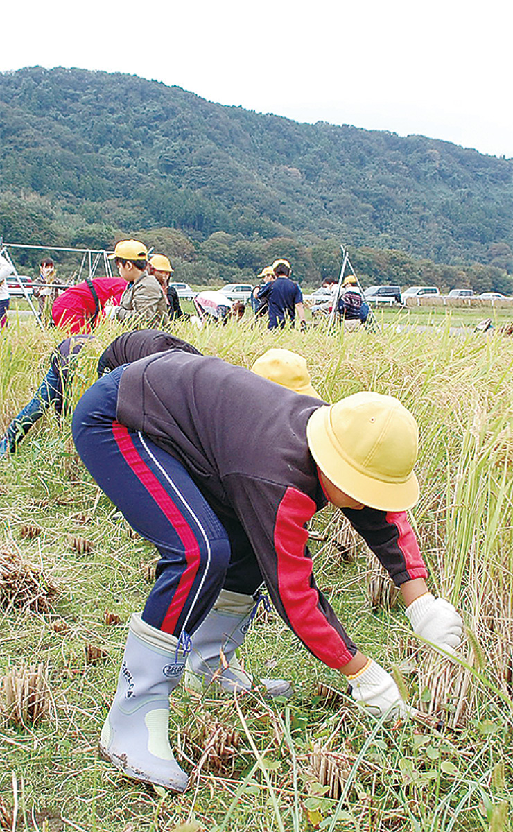 収穫の秋を体験