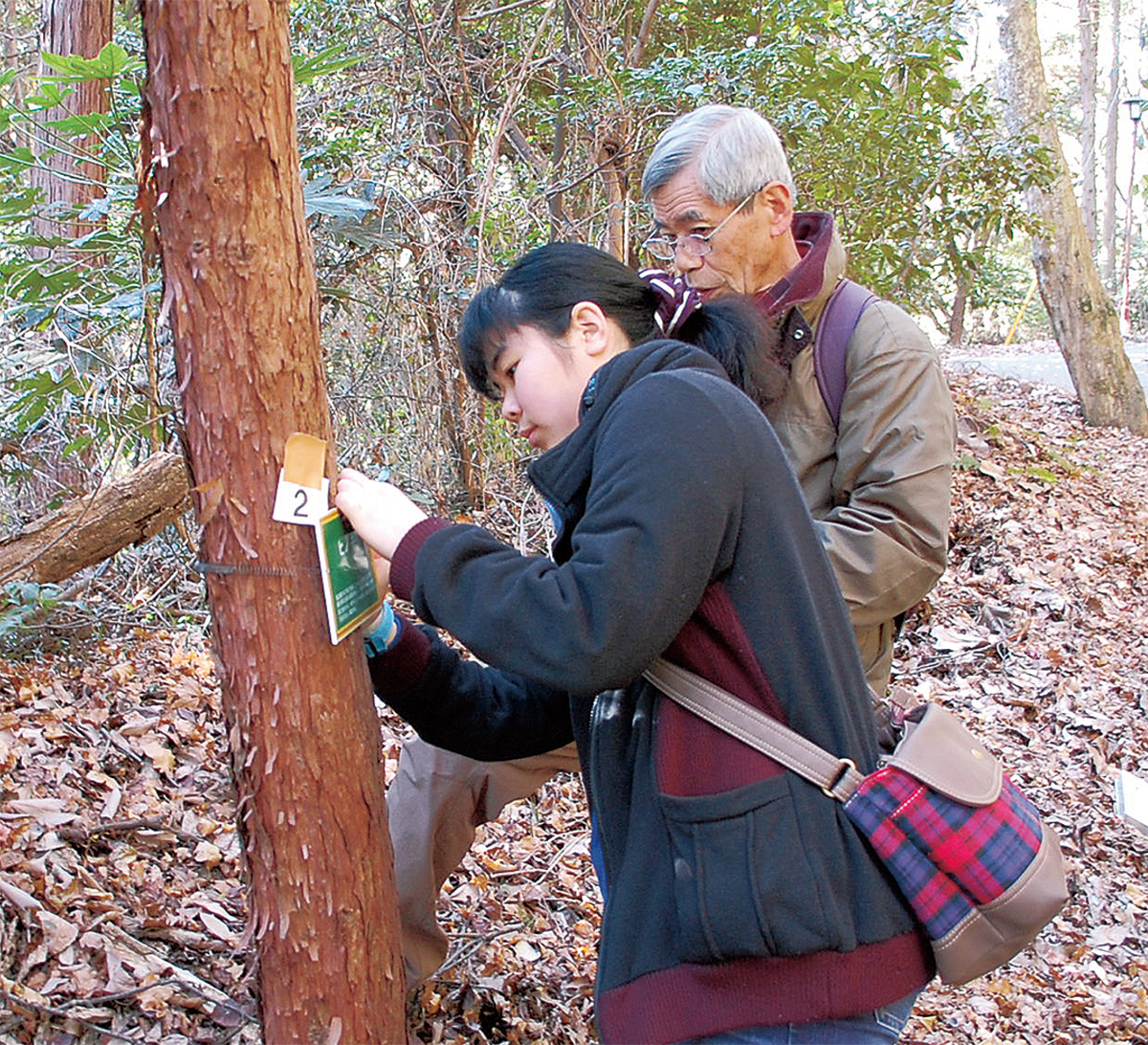 いこいの森に新看板
