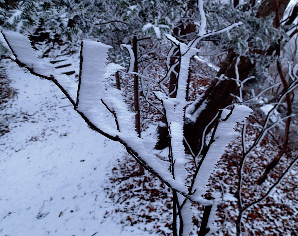 写真で発見郷土の魅力