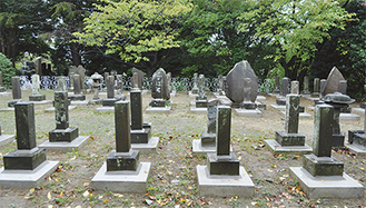 約130年の歴史をもつ同墓地は、市の「横須賀風物百選」にも選ばれている