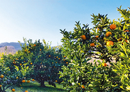 寄り道を楽しもう