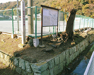 浦賀奉行所跡地を寄付