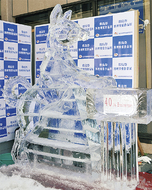 「氷の日本犬」凛々しく