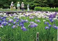 艶やかに色の競演