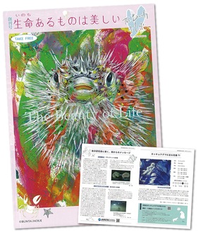 表紙や見開きページで井上さんの作品を紹介