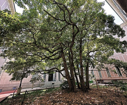 日米和親条約締結の地（横浜開港資料館）