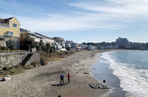 海岸沿いに戸建て住宅や集合住宅が建ち並ぶ秋谷の立石海岸
