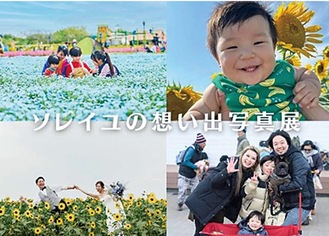 求む、思い出の一枚