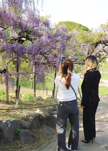 写真撮影を楽しむ来園者（４月21日撮影）