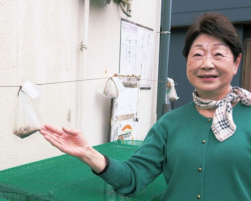 ヒトデ粉末をネットに入れてぶら下げるだけ。「カラスの姿を見かけなくなった」と古山会長