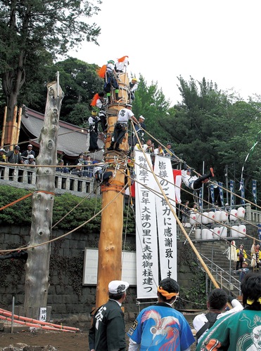 氏子らによって神社の境内に建てられた男神の御柱（右）