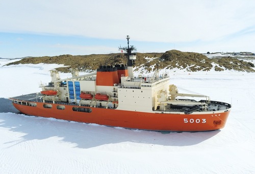 砕氷艦「しらせ」（提供：しらせ乗組員）