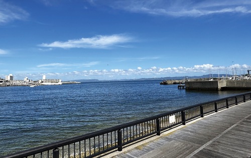 浦賀番所跡から望む浦賀湾口