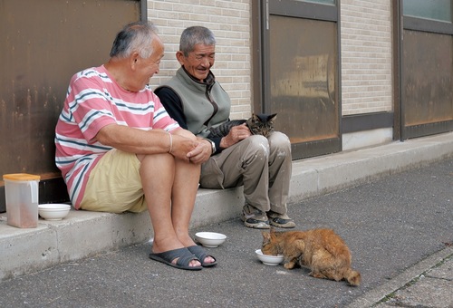 満腹のトラを抱く平塚さん（右）と高橋さん