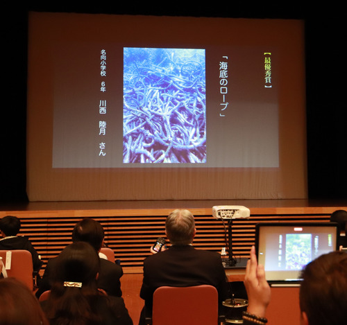 最優秀賞の一つ『海底のロープ』