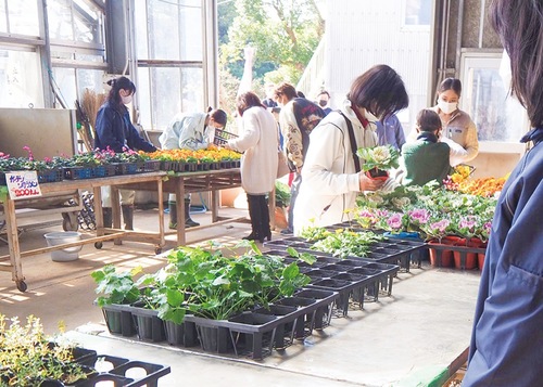 生徒が育てた花きや野菜を販売