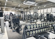 新年の決意、ここで再始動