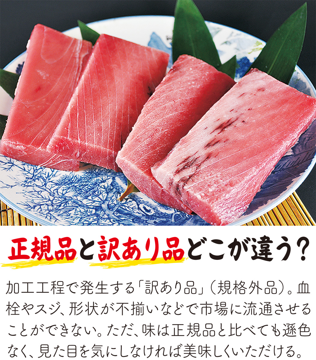 本まぐろ直売所 訳あり品 でも味は本物 本まぐろ直売所 横須賀 タウンニュース 本まぐろ直売所 訳あり品 でも味は本物 本まぐろ直売所 横須賀 タウンニュース