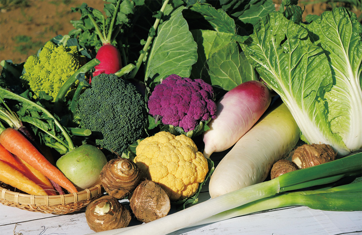 新鮮野菜 通販送料が半額 すかなごっそ で先着0件 ｊａよこすか葉山 横須賀 タウンニュース