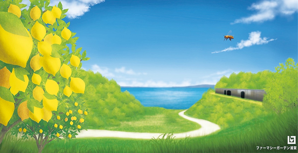 自慢の浦賀 写真で披露