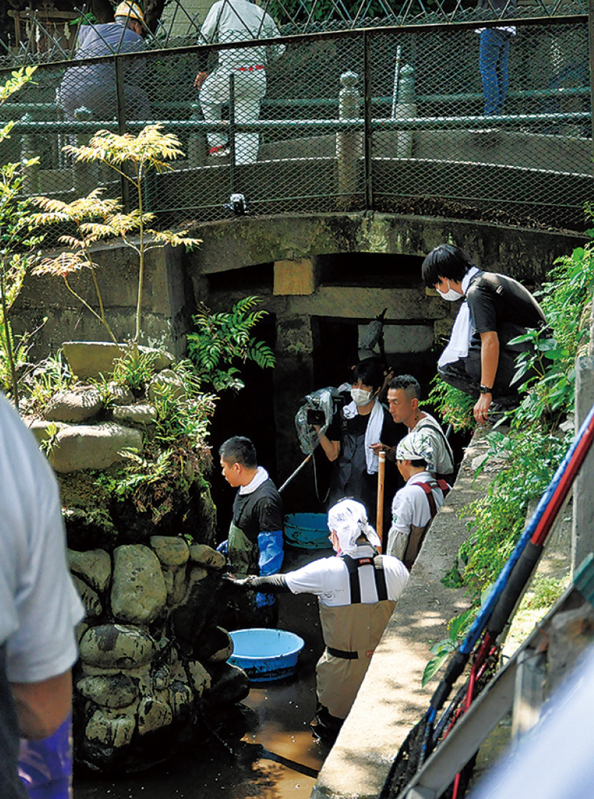 50年ぶりに「ぜんぶ抜く」 (写真1)
