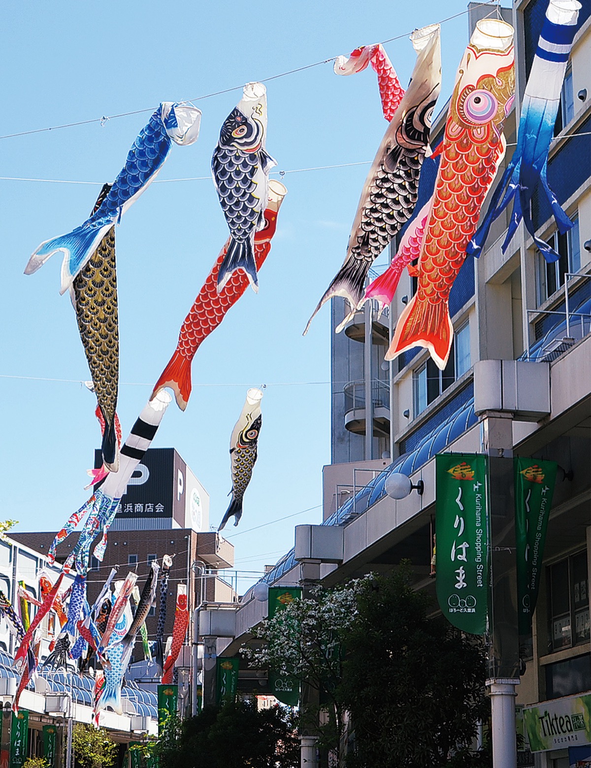 久里浜商店街 春風にそよぐ鯉のぼり 地域からの寄贈 空に 横須賀 タウンニュース