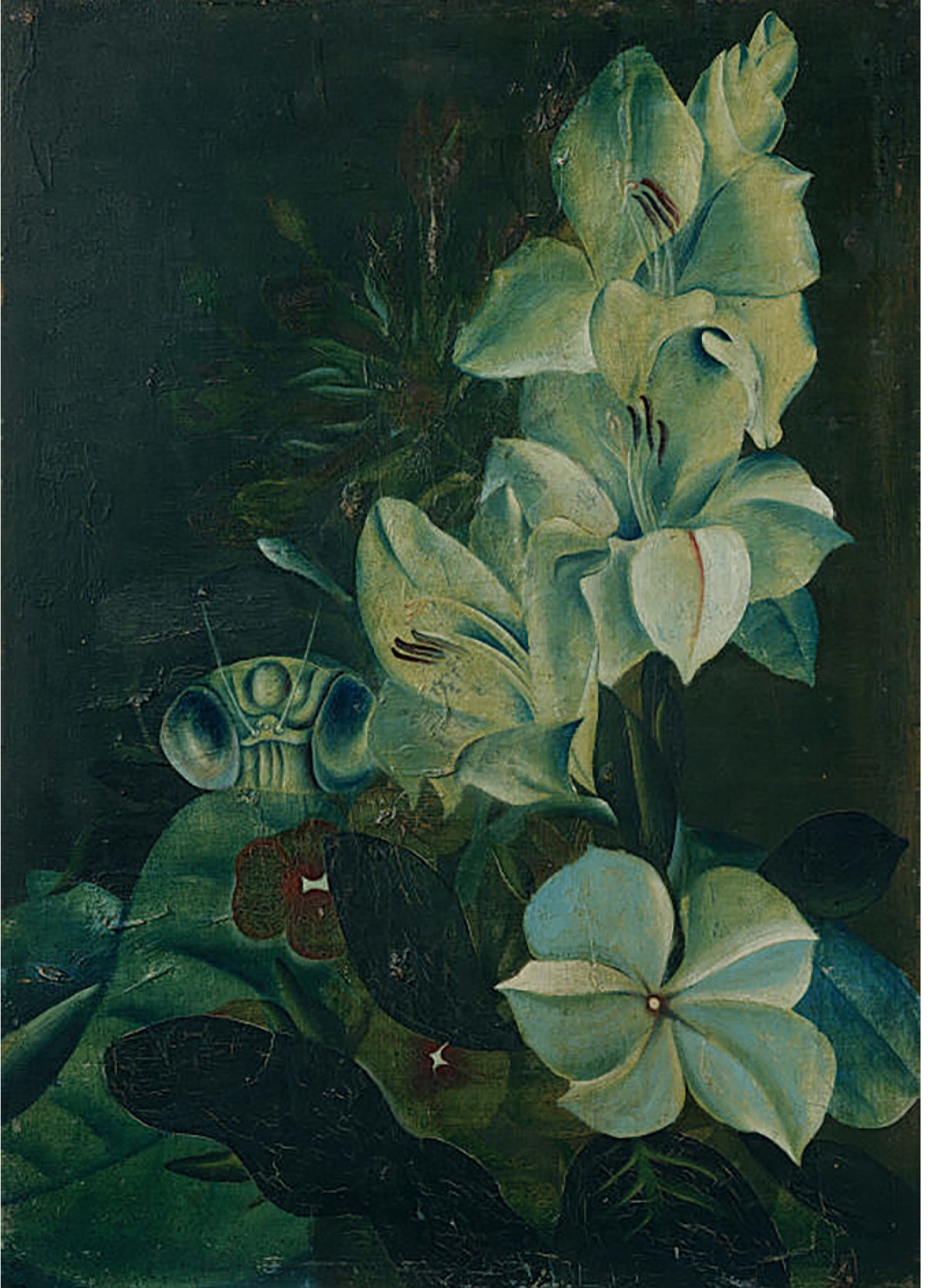 靉光《グラジオラス》１９４２年頃、横須賀美術館蔵