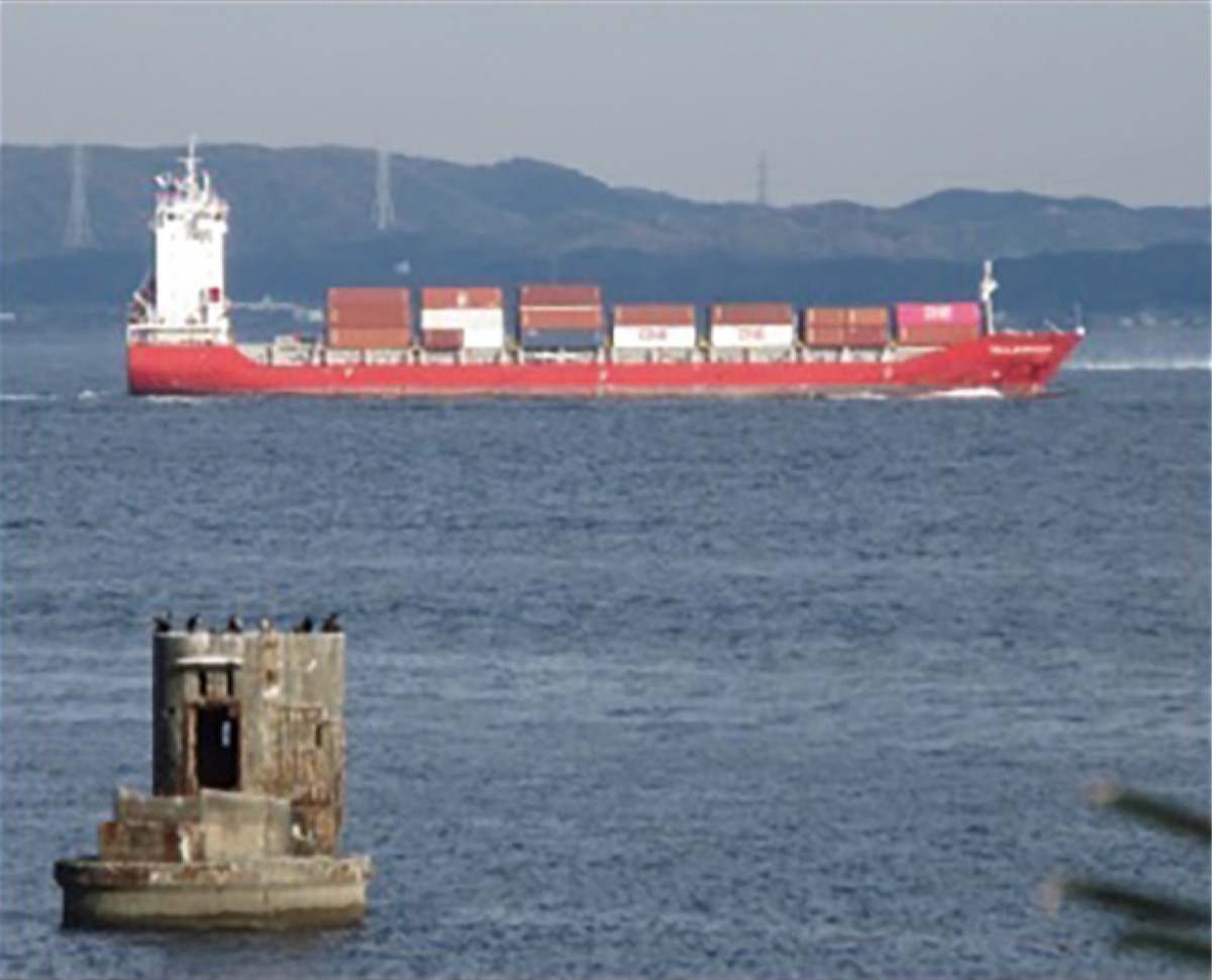 撮影写真の一例