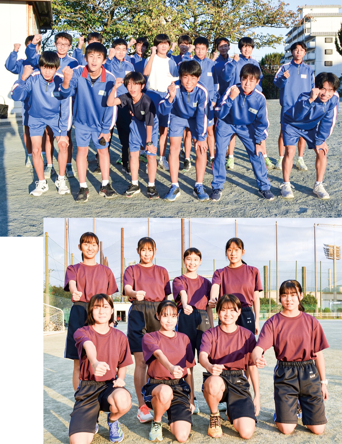 中学校駅伝 さあ 県大会 代表校が全力誓う 市大会トップ 池上 男子 追浜 女子 横須賀 タウンニュース